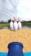 screenshot of CannonBowling: Strike Action