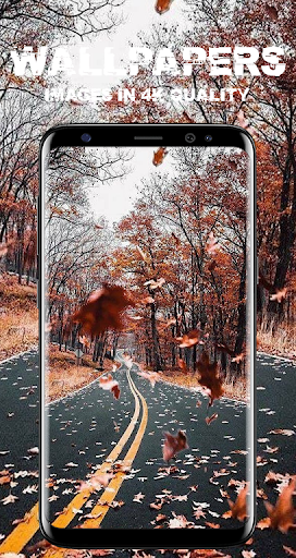 Street Wallpapers