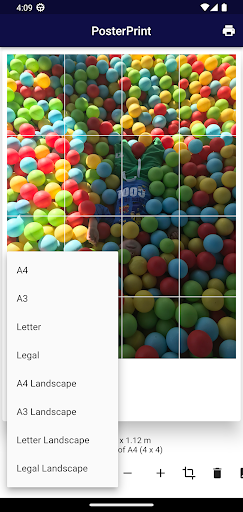 PosterPrint Pro Screen 2