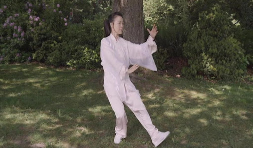 Captura 4 Tai Chi for Beginners 48 Form android