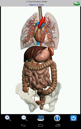 Visual Anatomy screenshot 23