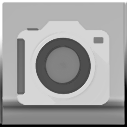 Black and White Camera logo