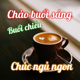 Icon image Vietnamese Morning to Night