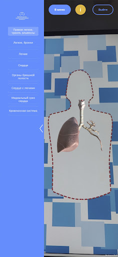 Органы AR Screen 2