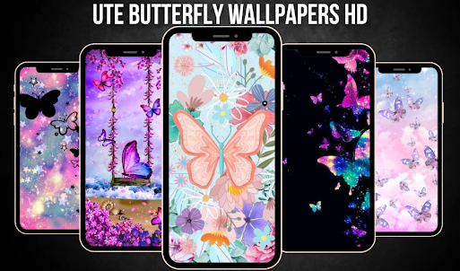 Cute Butterfly Wallpaper 4K