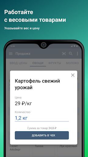 Касса в телефоне — Старт