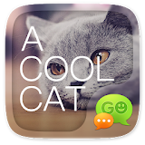 (FREE) GO SMS A COOL CAT THEME icon