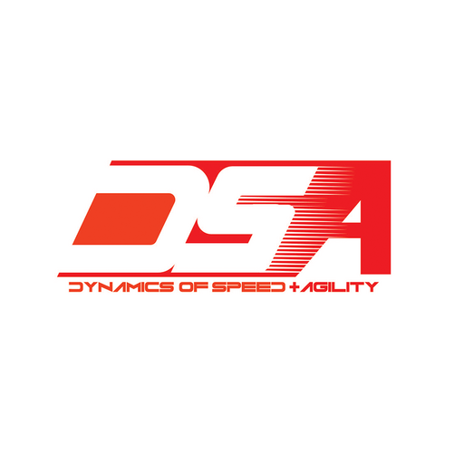 DSA Training logo