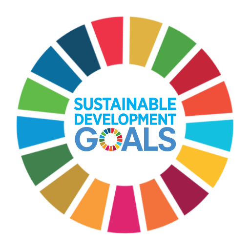 SDG  Icon