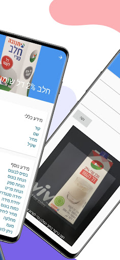 Aviv Item Query Screen 2