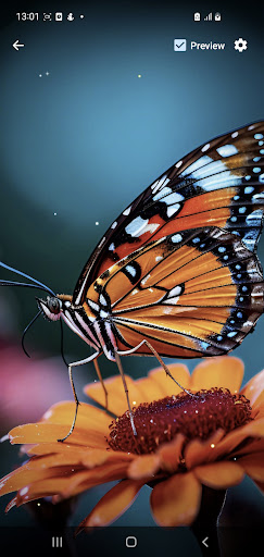 Butterflies Wallpapers Screen 2