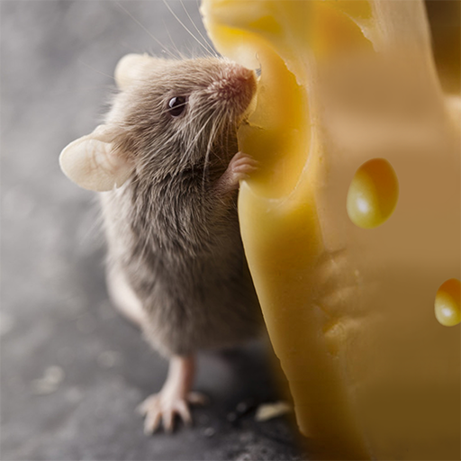 Talking Rat logo