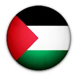Palestine Ps icon