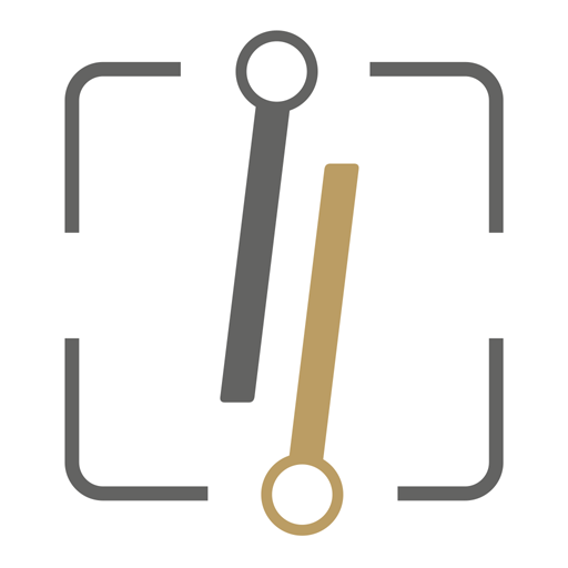 LOCAL PASS logo