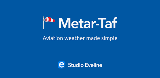 Metar-Taf - Visual decoder