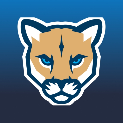 Activity Scheduler Pro Logo
