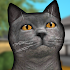Cat Shelter Simulator 3D1.0