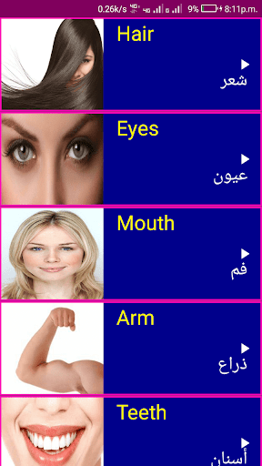Learn English From Arabic Screen 3