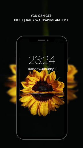 Screenshot of Sunflower Wallpaper HD