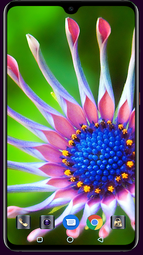 Android application Flower Wallpaper screenshort