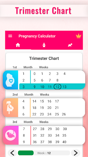 Pregnancy Calculator -Track Pregnancy Week by Week 23.6 Screenshots 10