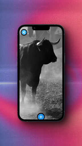 Bull Wallpaper Screenshot 1 - AppWisp.com
