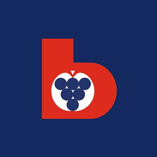 Beratungsring App logo