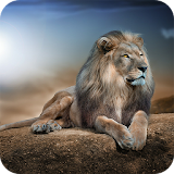 Lions HD Wallpaper icon