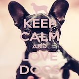 Keep Calm Love Dogs Wallpapers icon