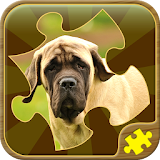 Dog Jigsaw Puzzles icon
