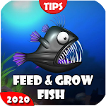 Cover Image of Download Guide for Fish Feed Grow Series 2020 11.11 APK