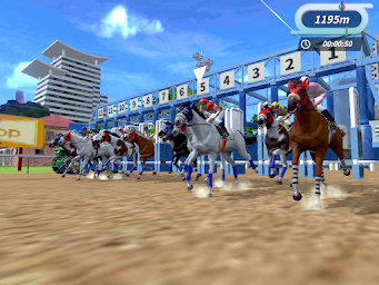 Derby Life : Horse racing