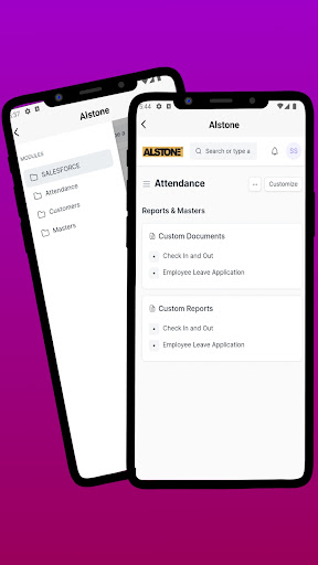 Alstone Salesforce Screen 3