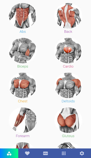 Android application Muscle Exercies screenshort