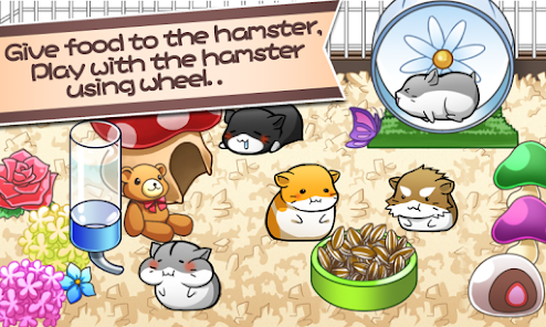 Hamster Life – Apps On Google Play