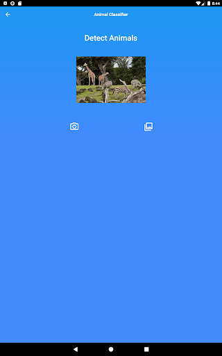 Camera Animal Identifier