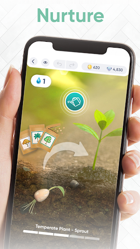 Garden Joy - Design Game