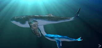 Game screenshot A Whale's Journey mod apk