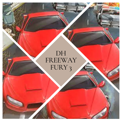 DH Freeway Fury 3