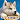 子犬のかわいい育成ゲーム - 癒しの犬育成アプリ