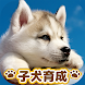 子犬のかわいい育成ゲーム - 癒しの犬育成アプリ - Androidアプリ