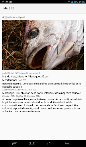 LaMaille pour la pêche en mer