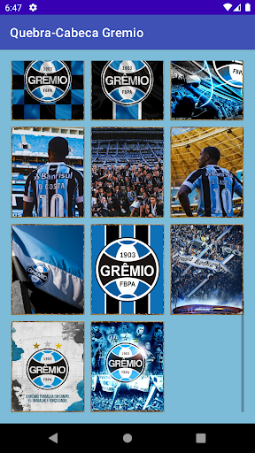 Gremio Jigsaw Puzzles Screen 3