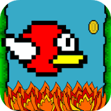 Burny Bird icon