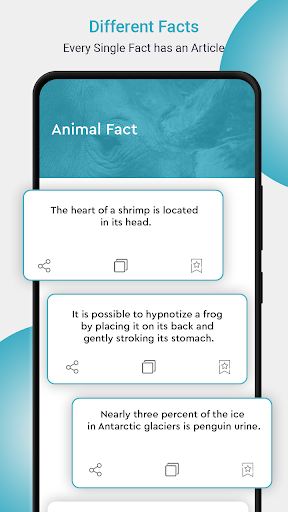 Random fun facts - learn by ch