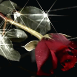 Cover Image of डाउनलोड Rose Falling Live Wallpaper 4.1 APK