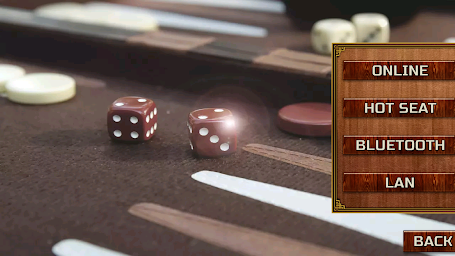 Backgammon Games +18