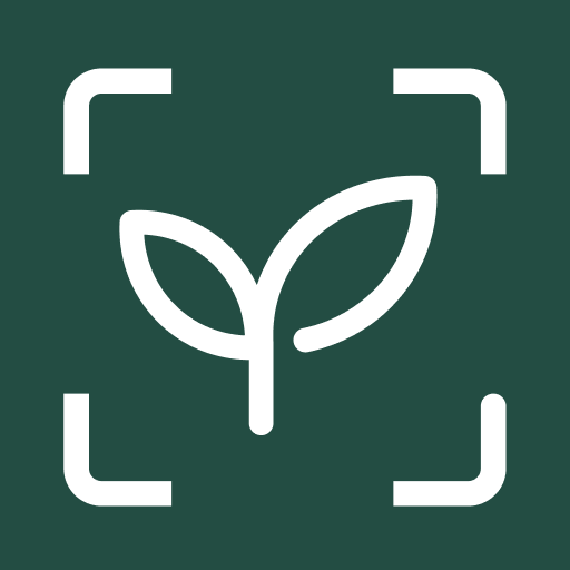 MagicScout logo
