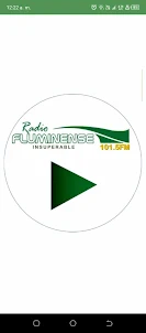 Radio Fluminense 101.5 FM