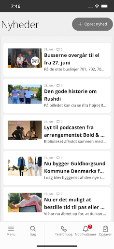 Guldborgsund intranet Screen 2